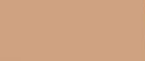 beige-color-swatch-image