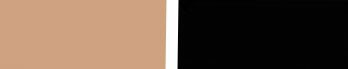 beige and black color swatches