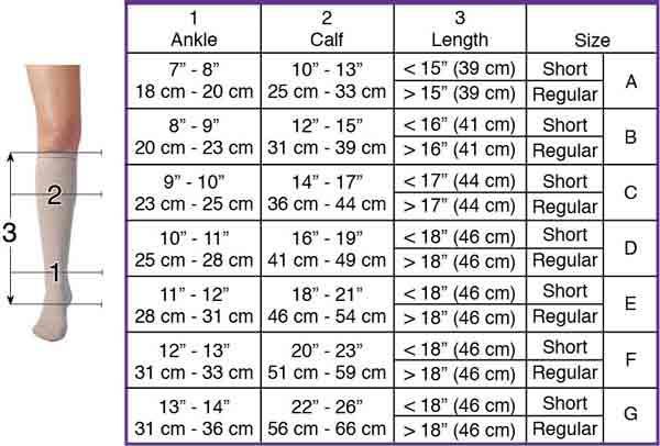 carolon-multi-layer-knee-high-size-chart